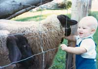 Geoff with Lady, Joey, and Blacky